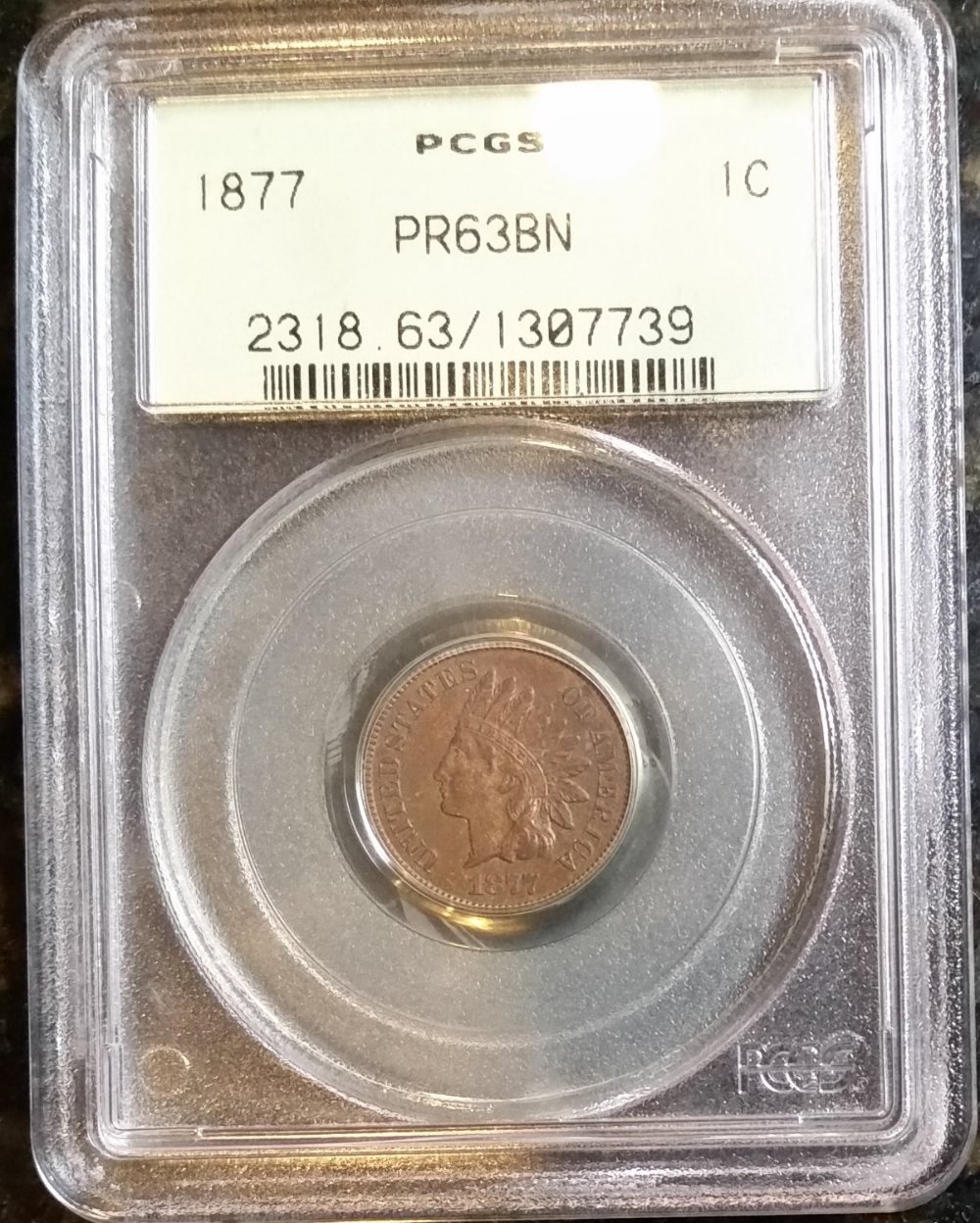 51-Days-Of-Flying-Eagle-And-Indian-Head-Cents!---Part-4!!