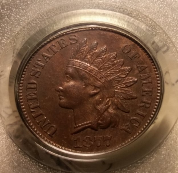 51-Days-Of-Flying-Eagle-And-Indian-Head-Cents!---Part-4!!