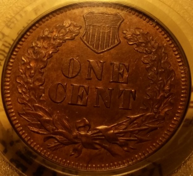 51-Days-Of-Flying-Eagle-And-Indian-Head-Cents!---Part-4!!