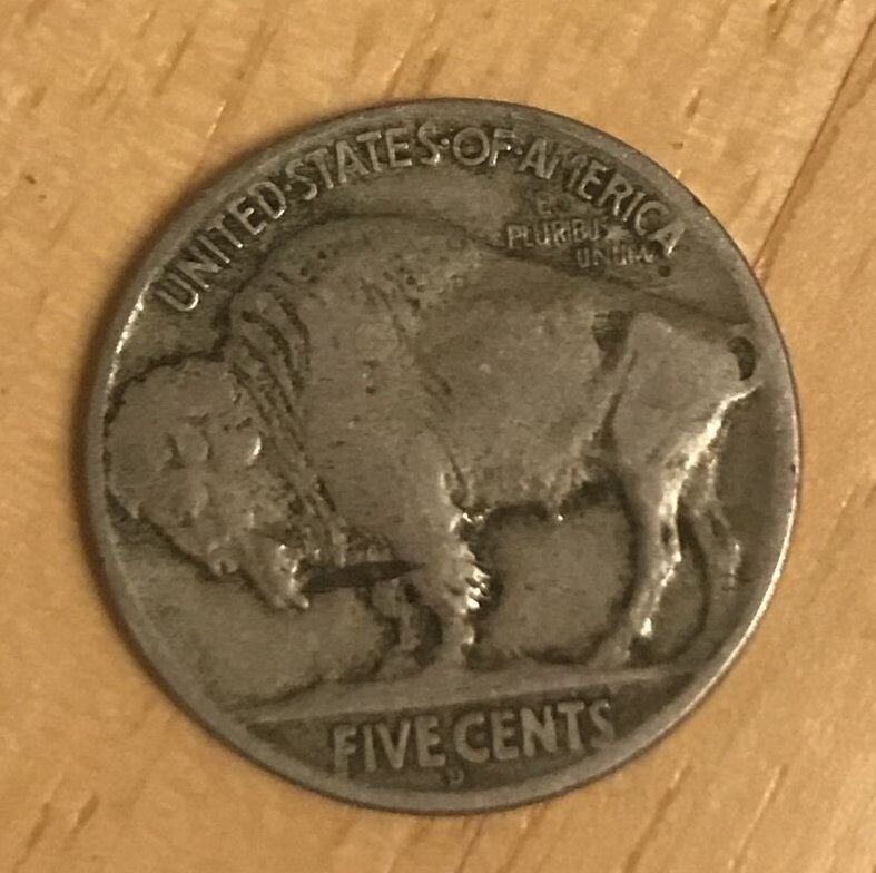 1918-D-Buffalo.-Am-I-Seeing-Things?