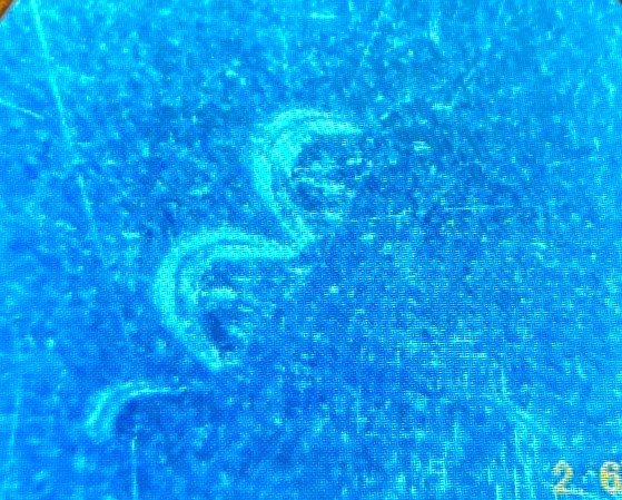 Need-Help-Identifying-Possible-Die-Gouge-On-2023-D-Jovita-Idar-Quarter