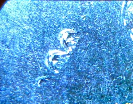 Need-Help-Identifying-Possible-Die-Gouge-On-2023-D-Jovita-Idar-Quarter
