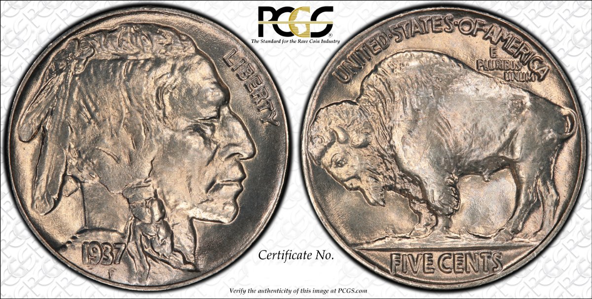 1937-Buffalo-Nickel-Vs-PCGS
