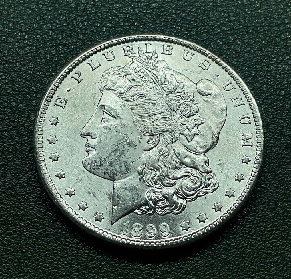 1899-O-Newbie-Die-Issue-Question