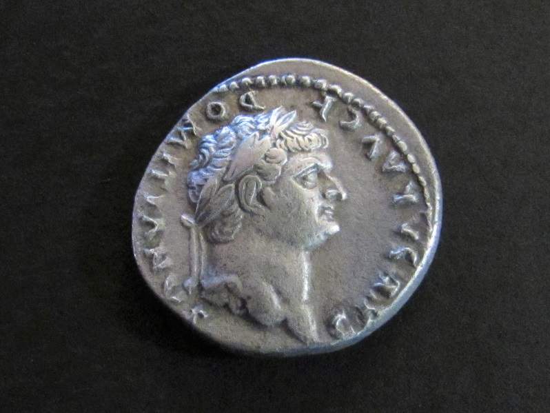 Domitian-Denarius-Not-Sure-On-This-One.