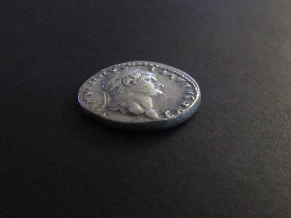 Domitian-Denarius-Not-Sure-On-This-One.