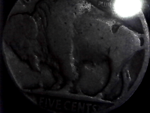 Bufflo-Nickel-Has-No-Date-Just-