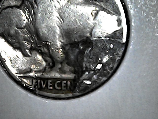 Buffalo-Nickel-Lamination-Error?