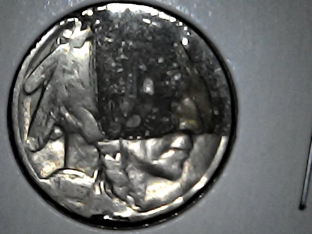 Buffalo-Nickel-Lamination-Error?