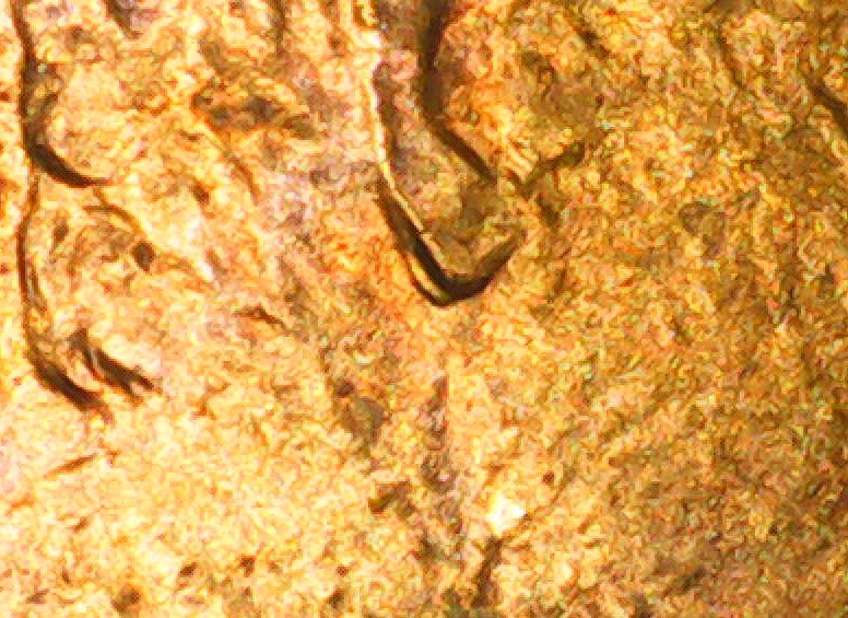 1982-P-Small-Date-Lincoln-Cent-Penny-Doubled-Ear?
