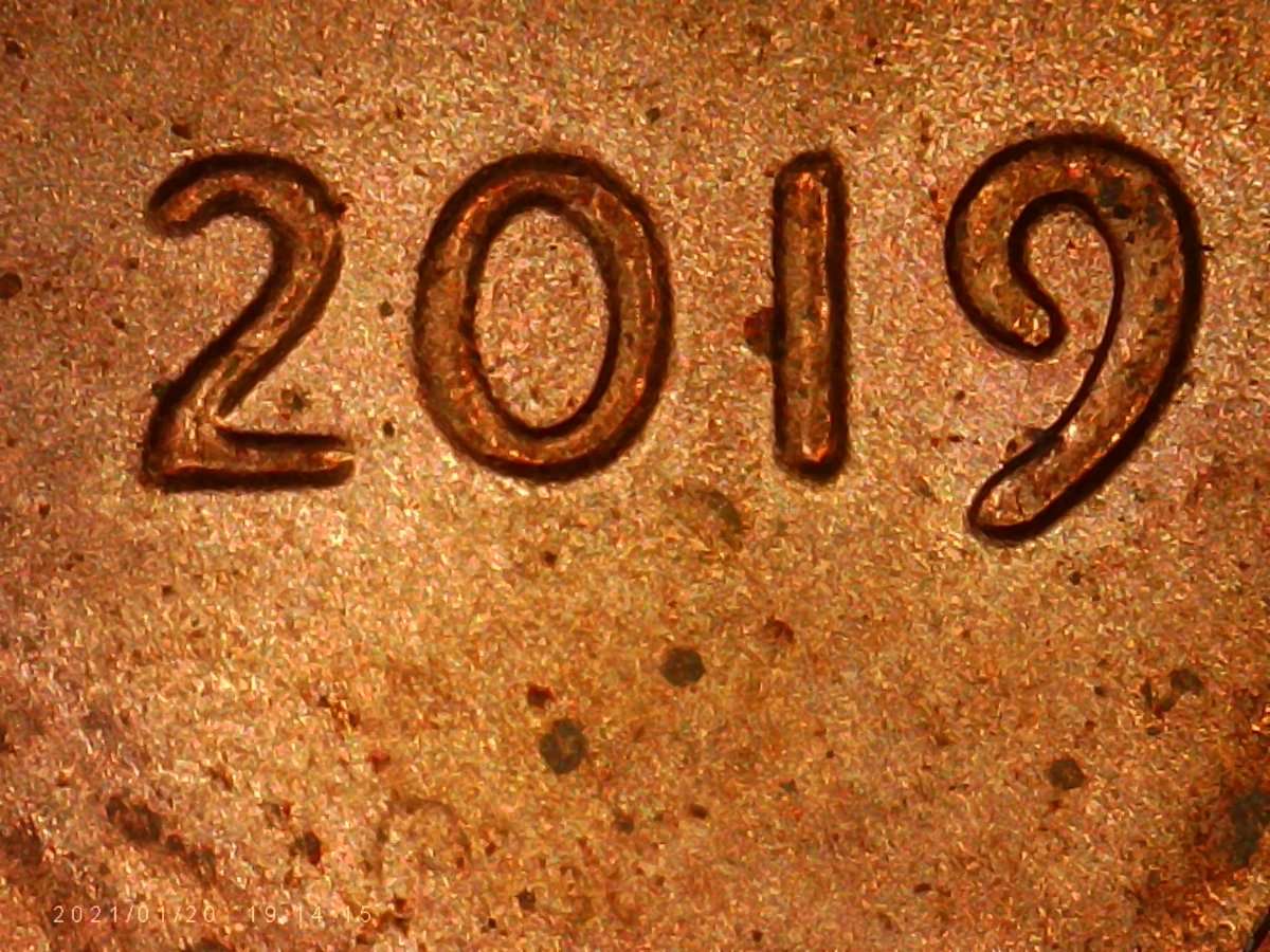2019-LSC.is-This-M.d.-Or-DDO>---The-0-.in-The-Date-?-Thanks