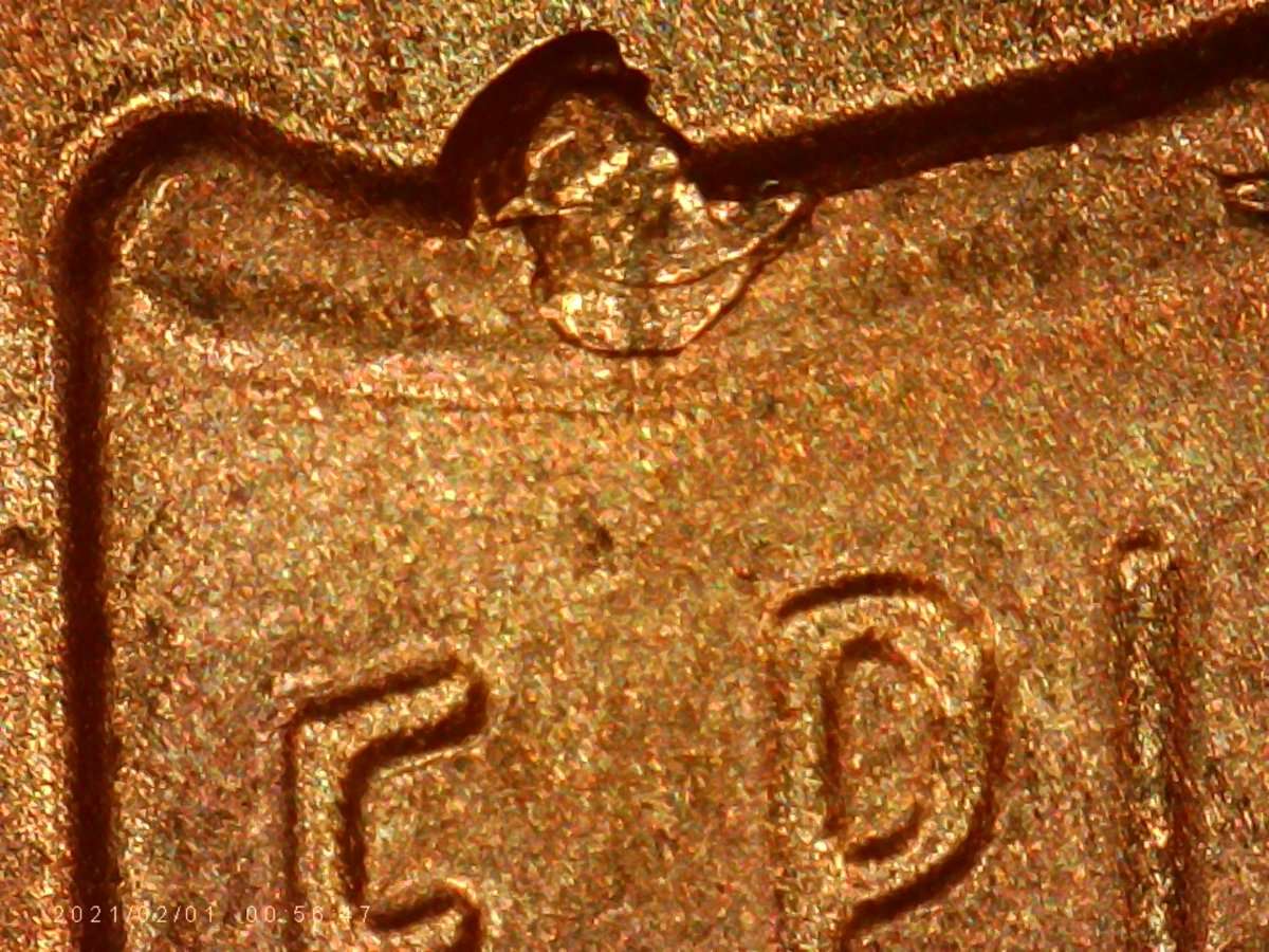 2///-2021-LSC.-Earlobe-And-Die-Chips.are-They-Norm,?