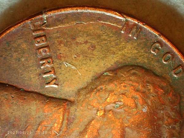 1955-LWC.-Is-This-A-Lam.-Or-Die-Break-Or-PMD?-Thanks-Bent.