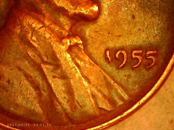 1955-LWC.-Is-This-A-Lam.-Or-Die-Break-Or-PMD?-Thanks-Bent.