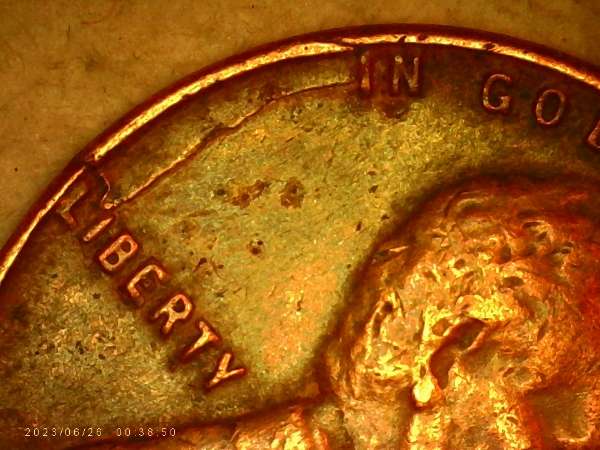 1955-LWC.-Is-This-A-Lam.-Or-Die-Break-Or-PMD?-Thanks-Bent.