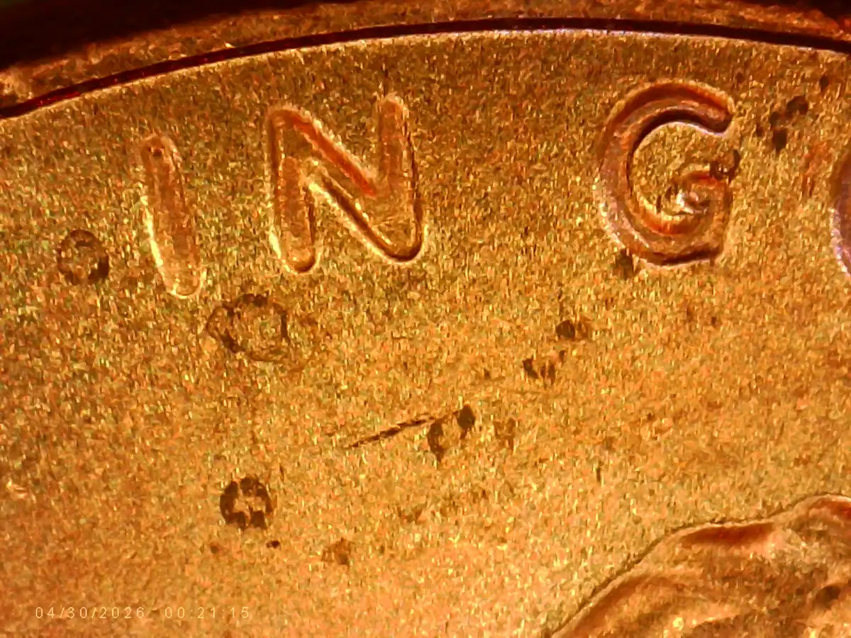 2025.-LSC.-Is-This-DDO.-Or-DDD?
