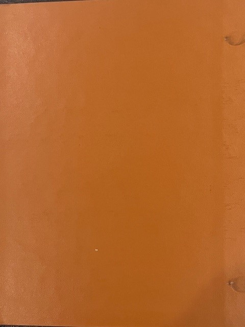 153-Days-Of-Dansco-Albums