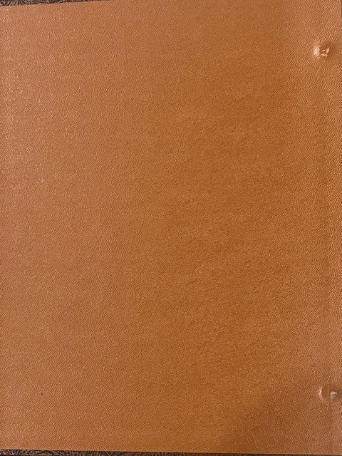 153-Days-Of-Dansco-Albums