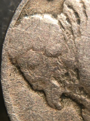 1916-Buffalo-Nickel-Mistake