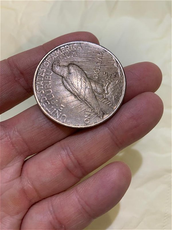 Brand-New-Member!-Need-Some-Assistance-To-Identify-PCGS-For-1921-Morgan-And-1922-Peace-Dollar