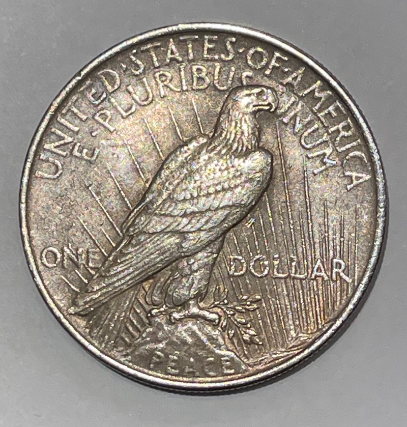 1922-Peace-Dollar---Need-Help-For-Grading-And-Any-Possible-Errors?