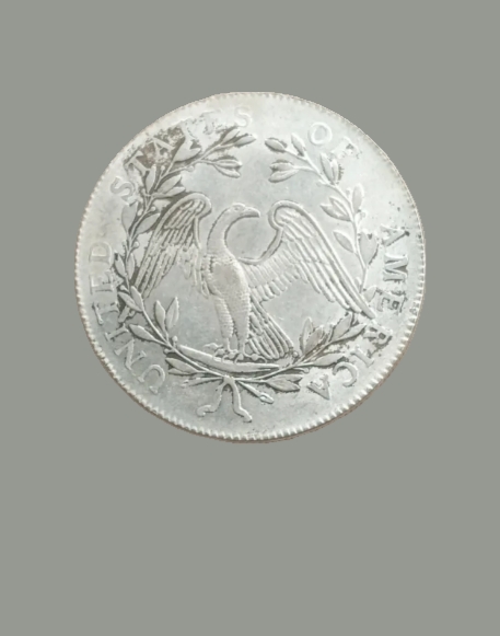 1795-Dollars-Coin-Genuine?