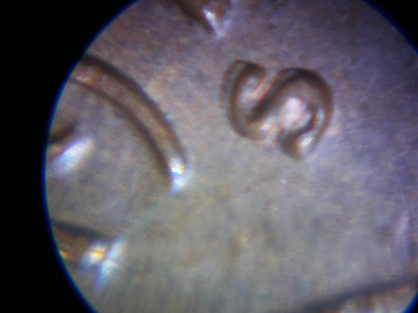 Today-Found-A-1971-S-Cent-DDO