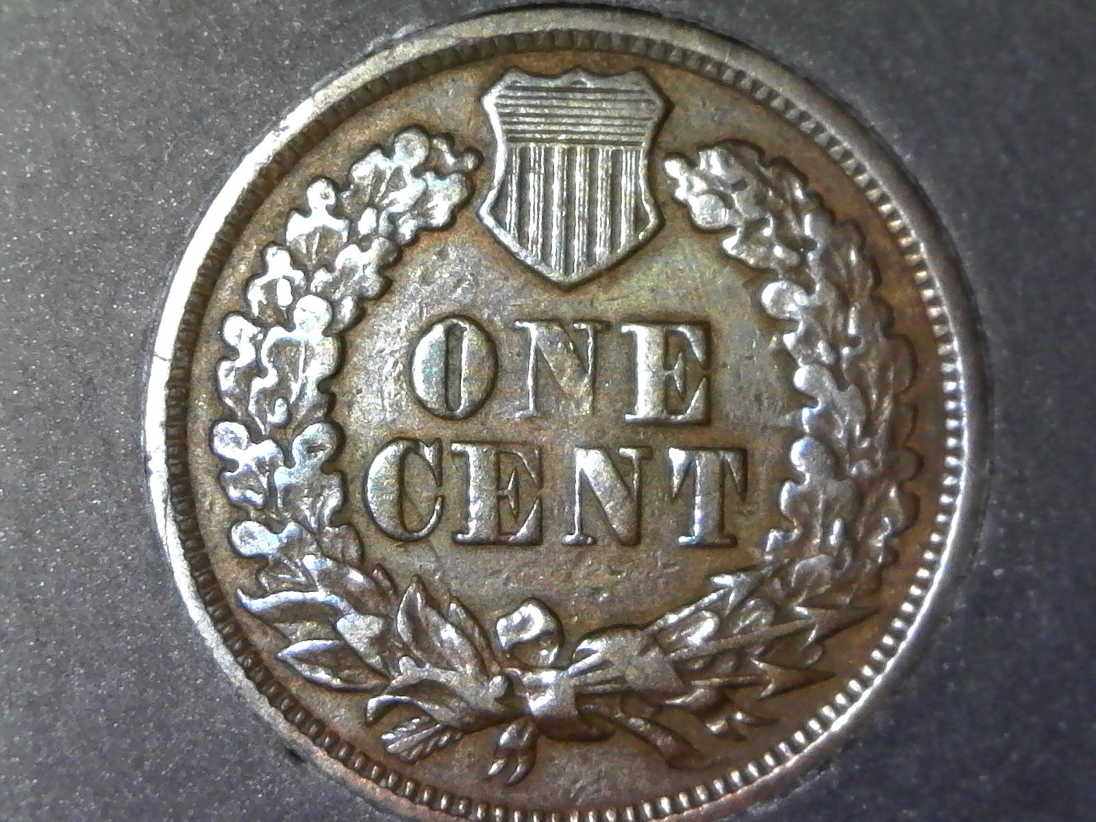 Help-Me-Grade/Id-My-1869-Indian-Head-Cent