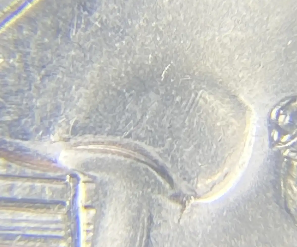 2013-D-Mount-Rushmore-Possible-Die-Chip