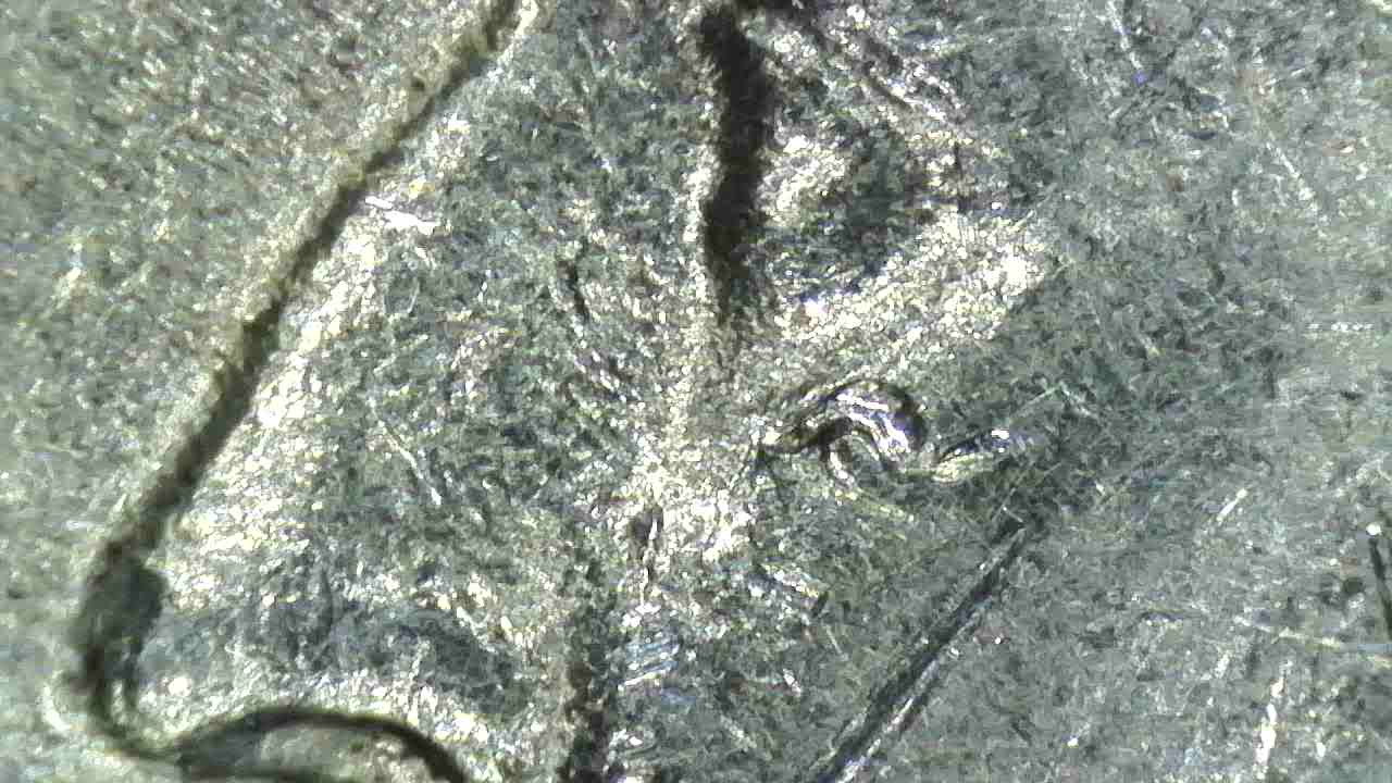 1984-Quarter-Obverse/Reverse-Error-Multiple-Errors