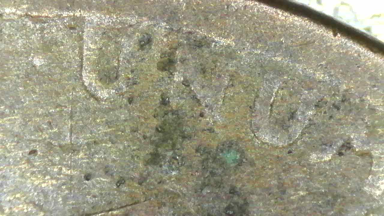 1920-S-Wheat-Penny,-Please-Advise