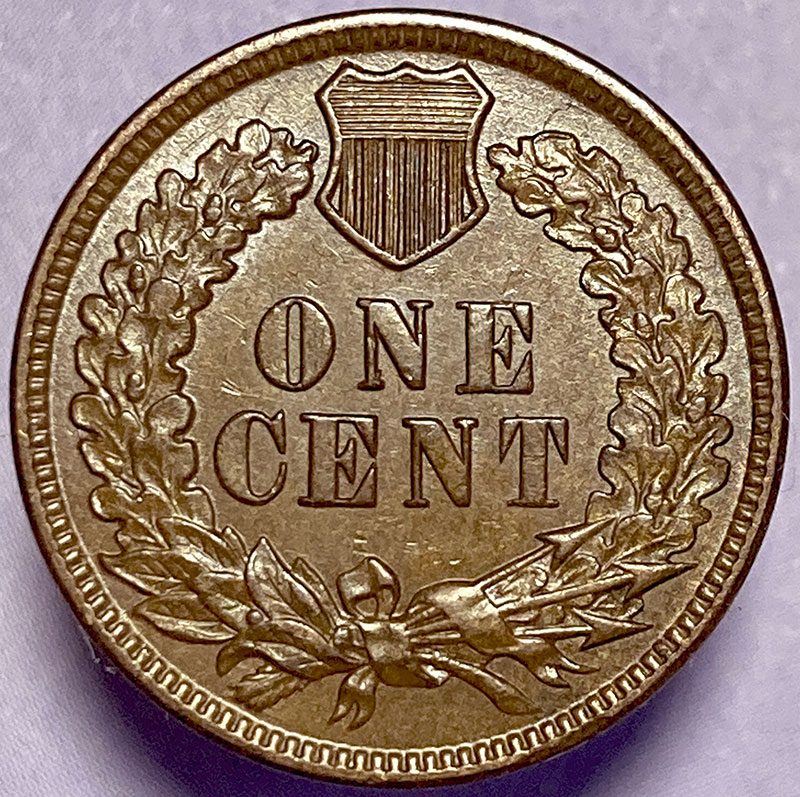 1880-Indian-Snow-4A-I-Think-For-Grade-And-Evaluation