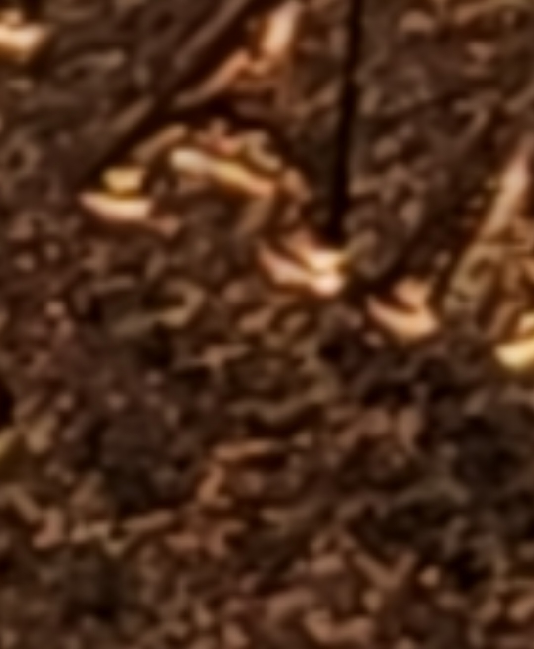1992-Closed-Am-Is-This-Closed-?-Extreme-Closeup