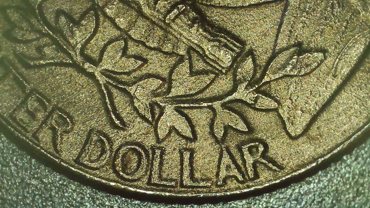 1983-P-Quarter---How-To-Tell-If-It's-DD-Vs.-Worn