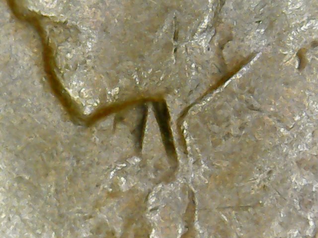 Is-This-A-Man-Made-Hole-In-My-1922-Penny?