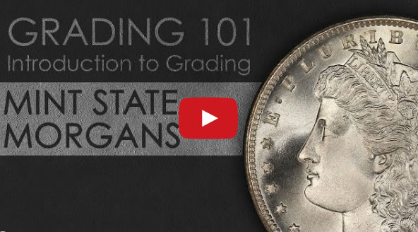 Learn-Grading:-PCGS---Grading-Mint-State-Morgan-Dollars
