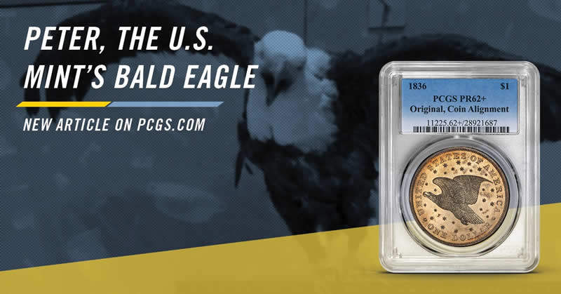 The-Story-Of-Peter,-The-US-Mint-Eagle