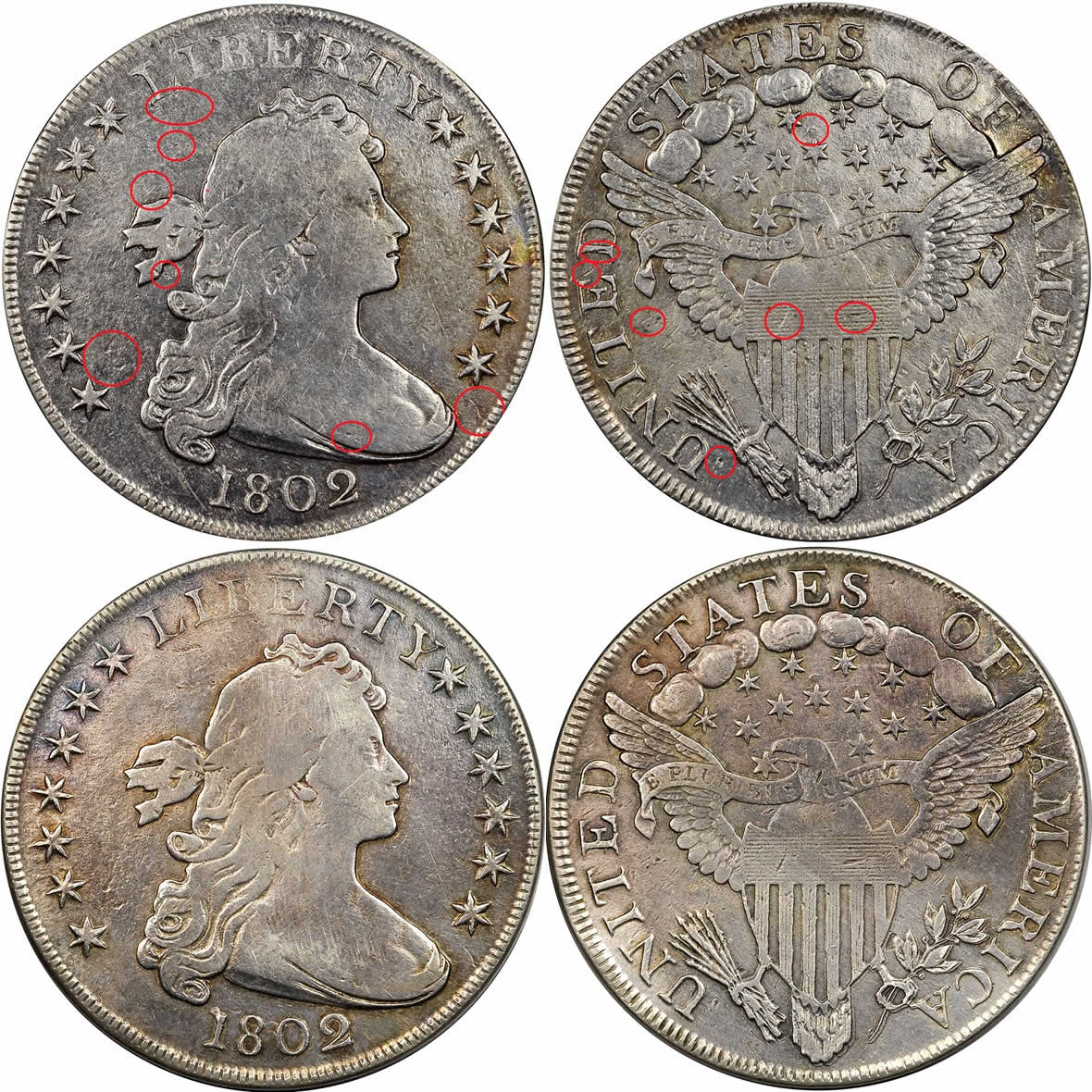 Counterfeit-Detection:-1802-Draped-Bust-Dollar
