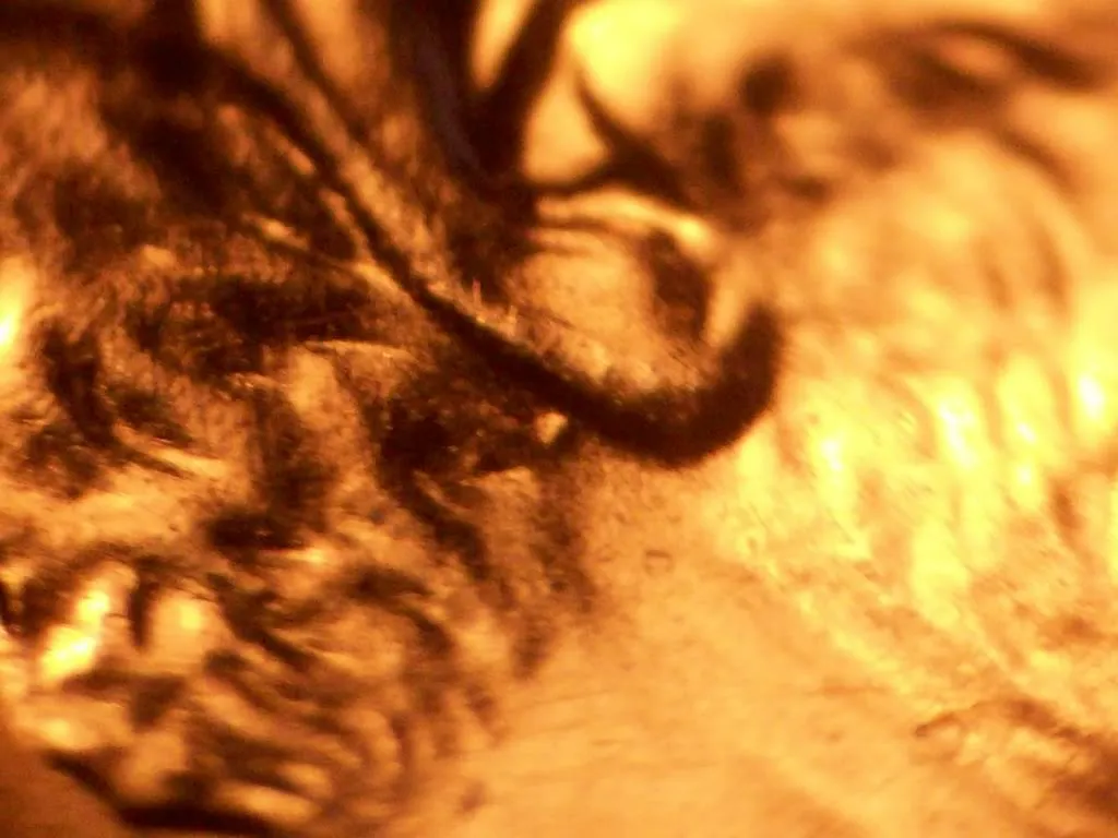 2006-P-Lincoln-Memorial-Cent-Notches?-Something-Behind-Ear.