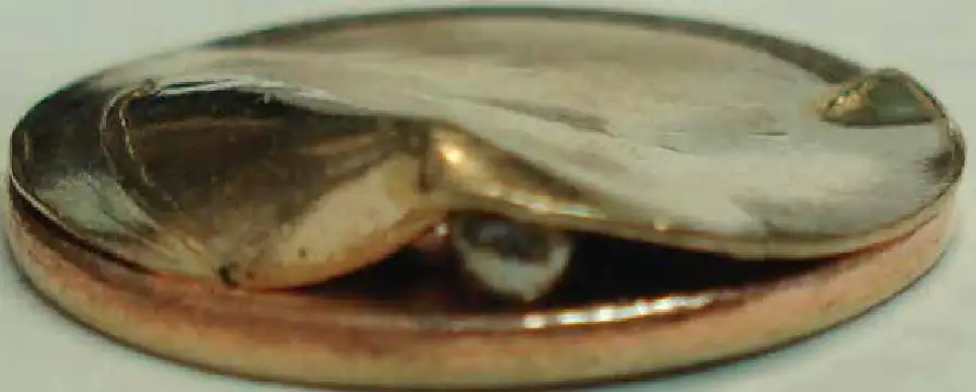 Burnishing-Balls?-Please-Help-Me-Identify-This.