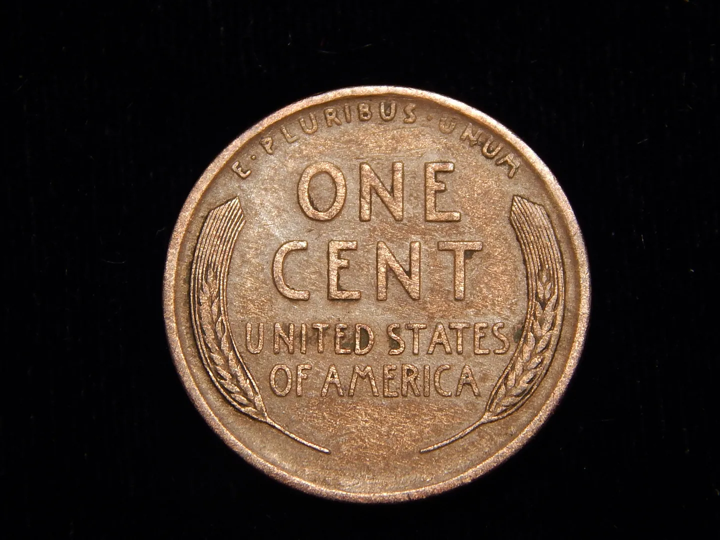 1909-S-Wheatie---Am-Sending-Into-PCGS---Your-Grade?