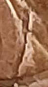 1969-D-Penny-Double-With-A-Raised-Line