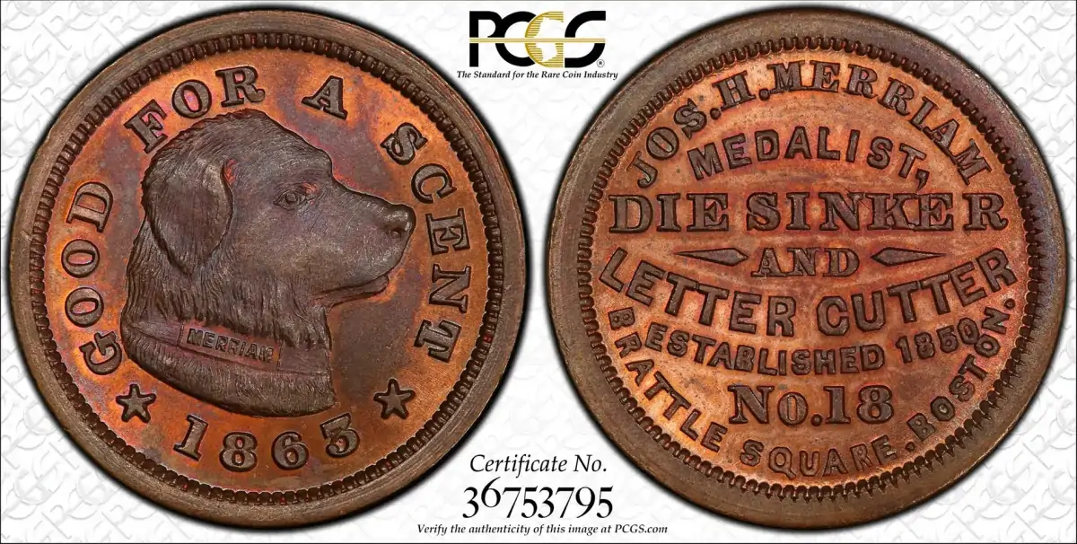 Dogs-On-Tokens-And-Coins