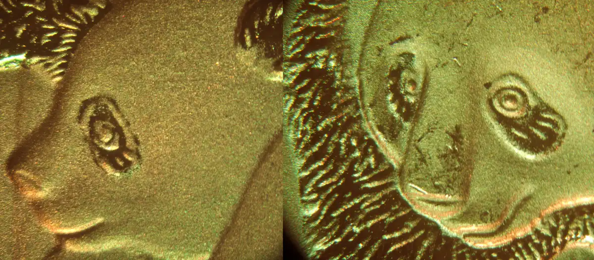 Counterfeit-Detection:-2010-China-500-Yuan-Panda