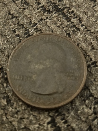 Can-Anybody-Tell-Me-What-I-Have?-Id:-2014-P-Quarter