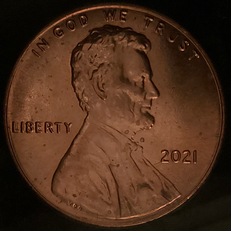 How-Do-You-Correctly-Illuminate-Macro-Shots-In-Indirect-Sunlight?