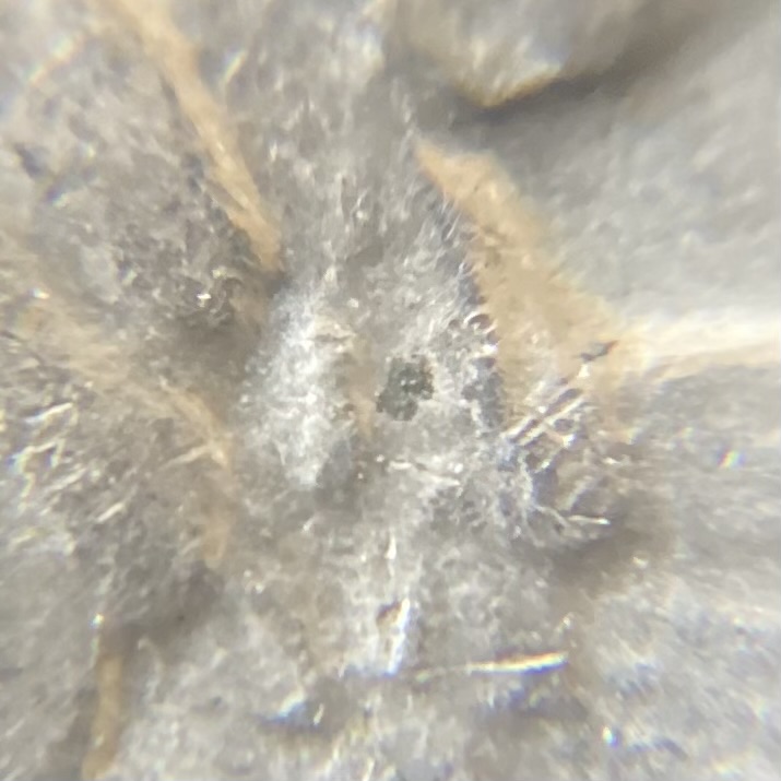 Clad-Ike:-Is-This-Verdigris?