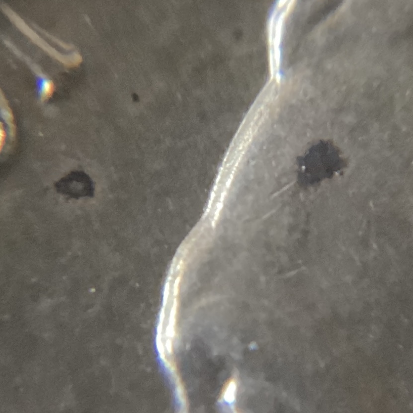Details-Grades:-How-Big-Can-A-Verdigris-Or-Carbon-Sulfur-Spot-Really-Be?
