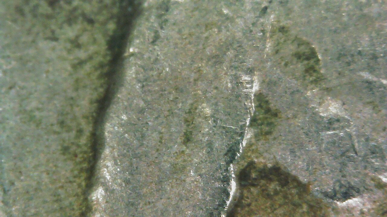 1936-Buffalo-Nickel:-DDO-Or-Just-Convincingly-Smooshed?