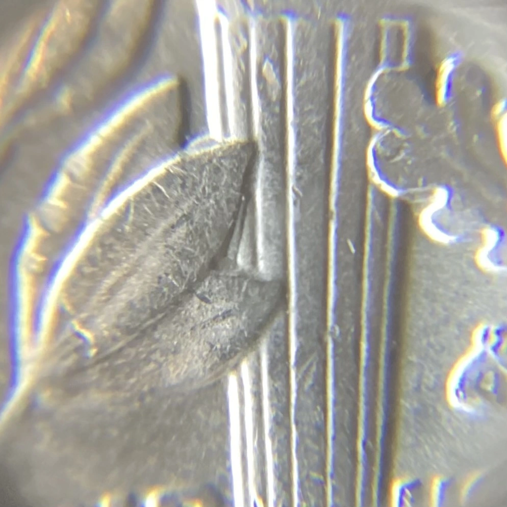2015-P-Dime:-Is-This-A-DDR?